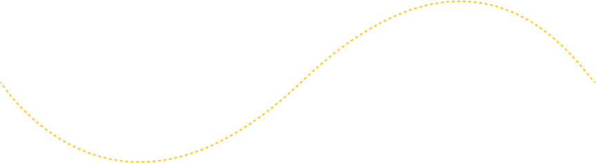 Decorative line connecting Harford NY Taxi Service booking steps